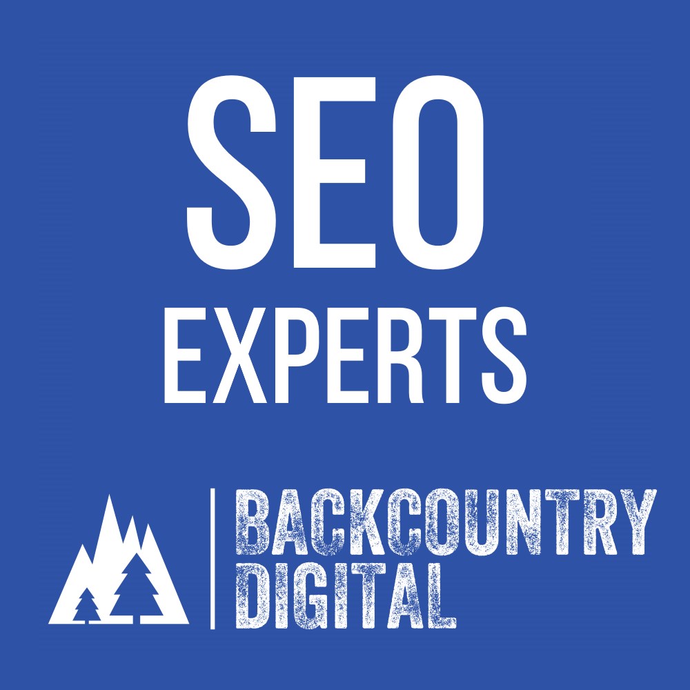 SEO Experts